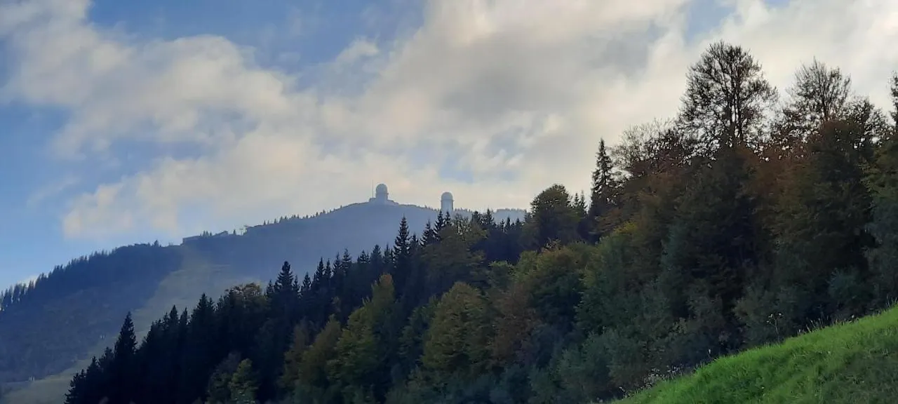 Ferienwohnung Wildgatter Grafenwiesen